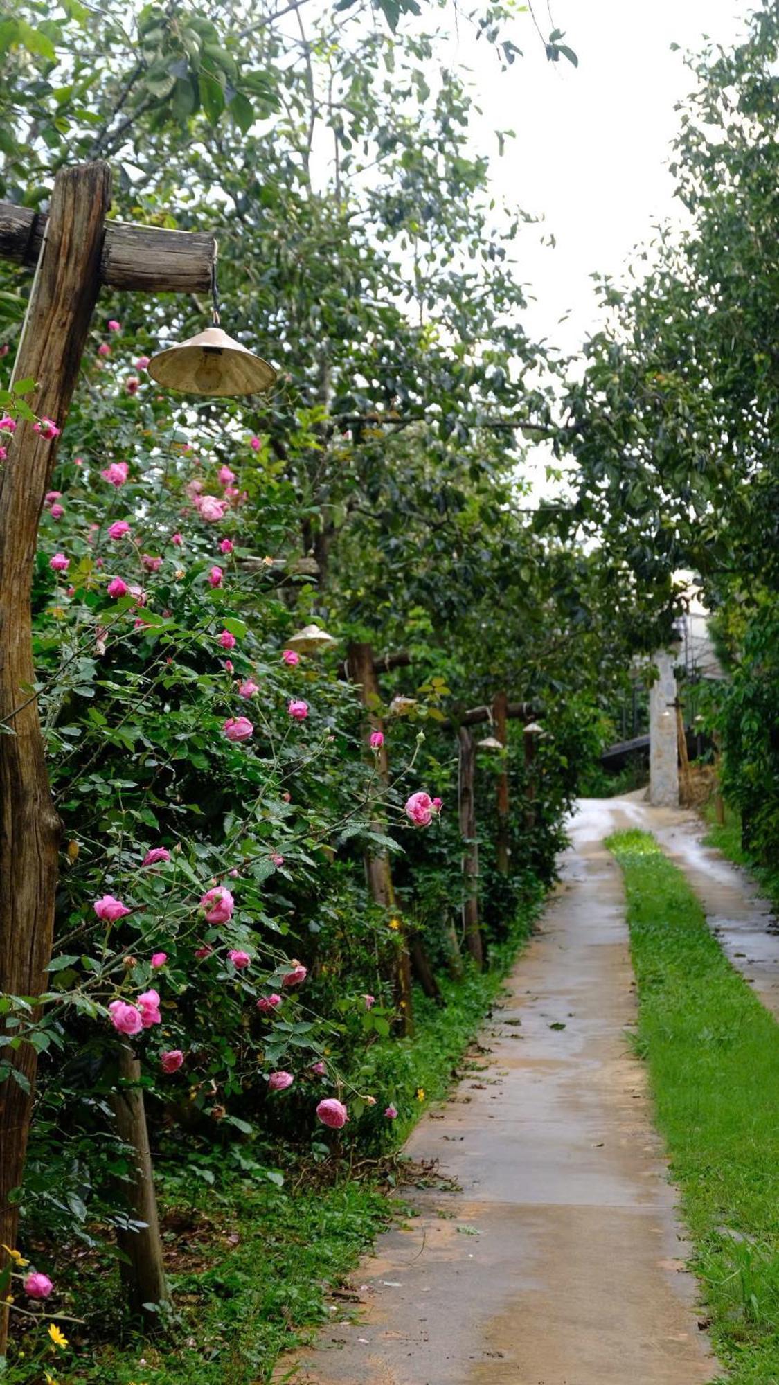 Moc Tra Farm Villa Xuan Truong Luaran gambar